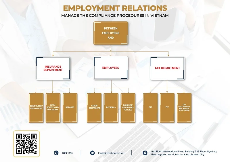 Employment relations chart vivabcs