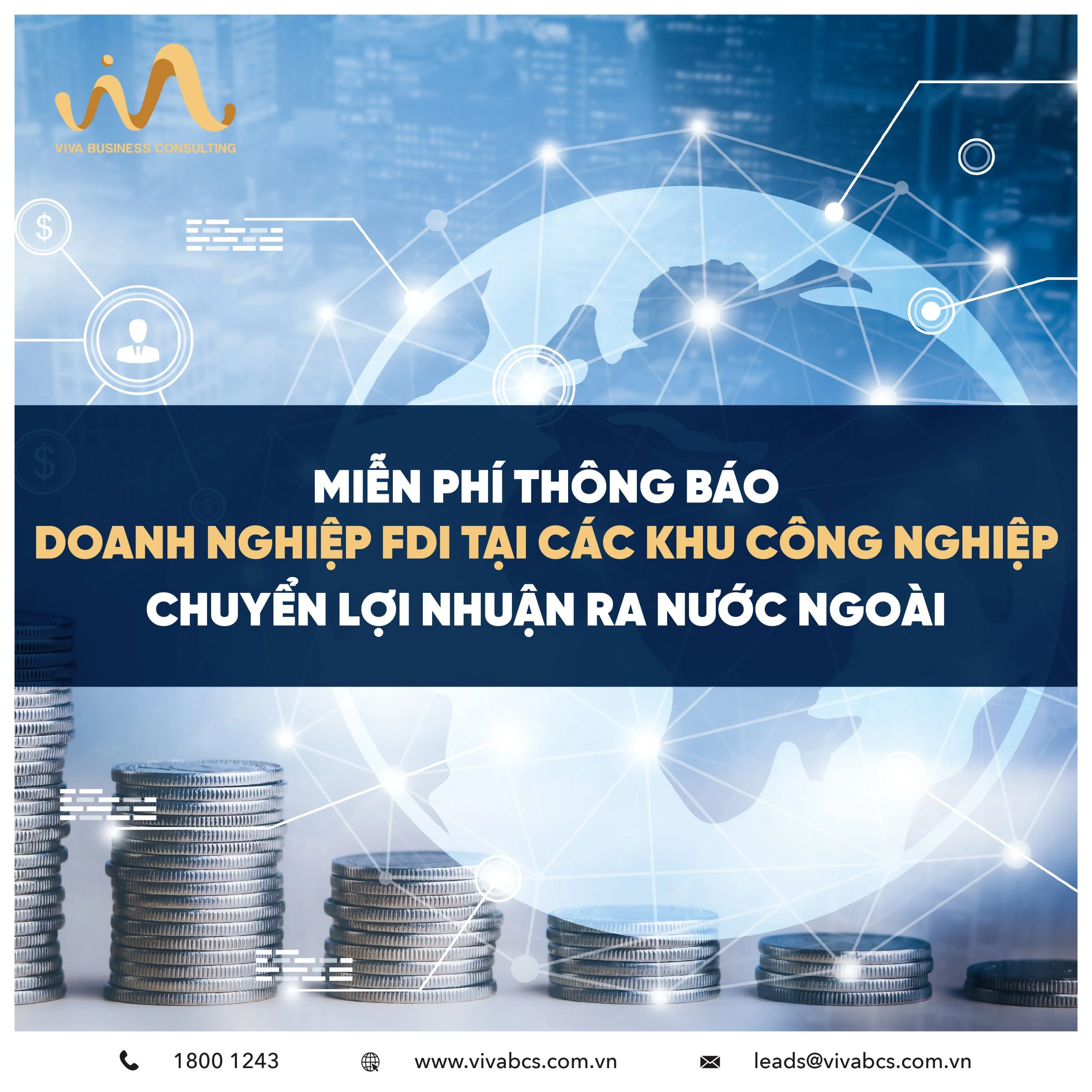 Chuyển lợi nhuận ra nước ngoài | Doanh nghiệp FDI tại Việt Nam
