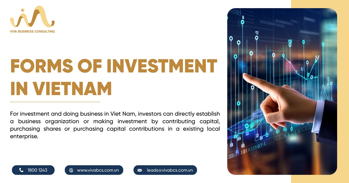 Forms of investment in Vietnam