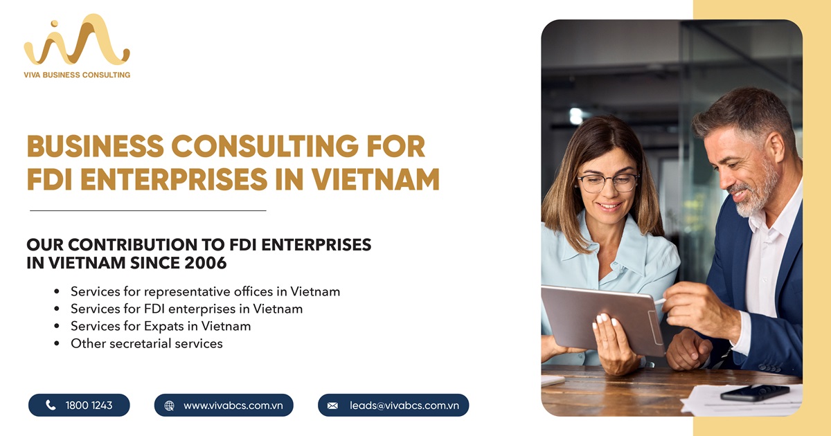 Business consulting for Vietnam FDI enterprises